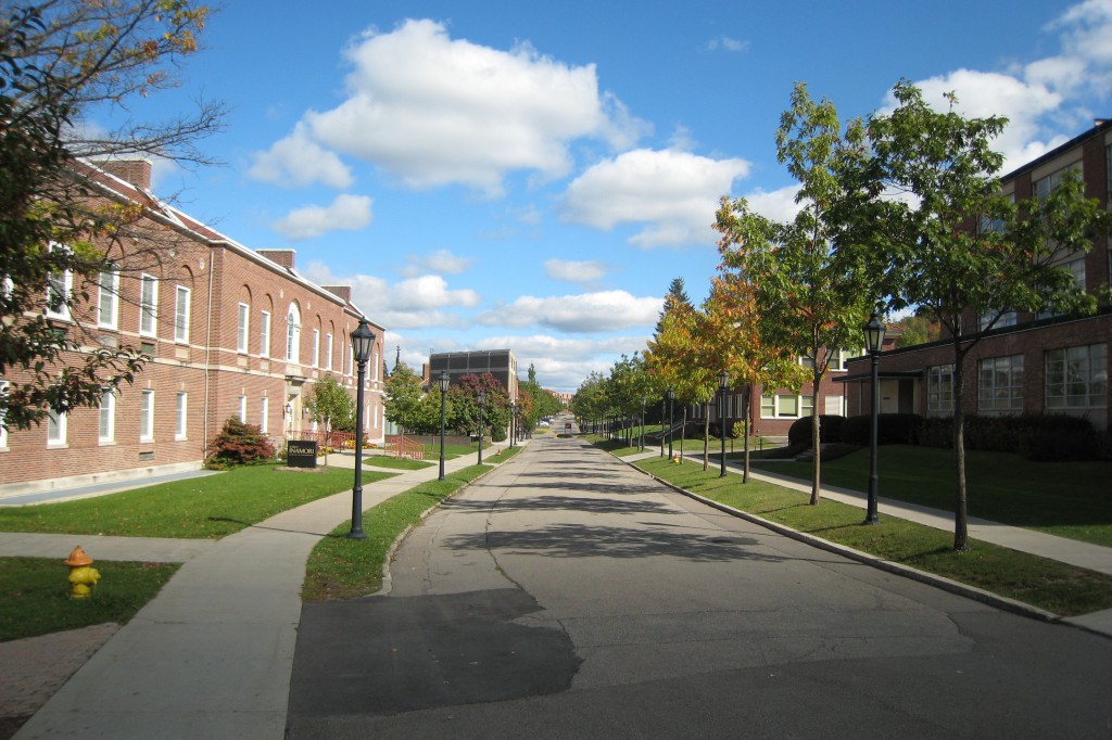 Alfred University Downstate Programs CITE